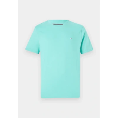 Afbeelding van Tommy Hilfiger ESS Seasonal REG FIT Solid TEE Tshirt basic, Heren, Maat: XS, Light jade green