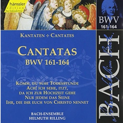Afbeelding van Bach Ensemble, Helmuth Rilling J.S. Bach: Cantatas Bwv 161 164 (CD)