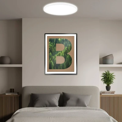 Afbeelding van BRILONER EEK A LED plafondlamp Efficient met 14W bij 3000lm, ca. 50.000h licht, vlak, indirect lamp, plafondlamp, woonkamerlamp, paneel, keukenlamp, 42x3 cm, wit
