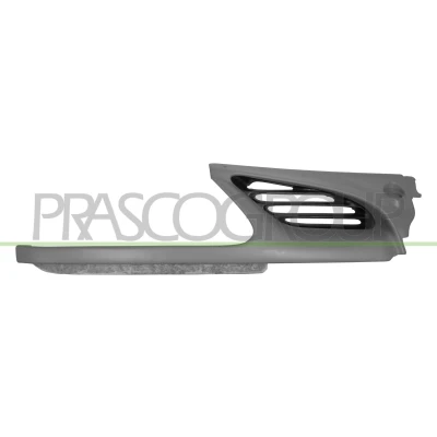 Afbeelding van Radiateurgrille PRASCO RN0262113