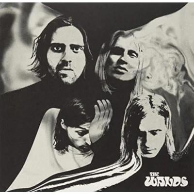 Afbeelding van Wands Faces 10&quot; (Single)