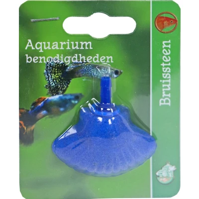 Afbeelding van Bruissteen schelp 4.5 cm op blister Gebr. de Boon