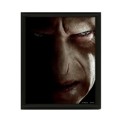 Afbeelding van Harry Potter (Harry VS Voldemort) 3D Poster in zwarte lijst