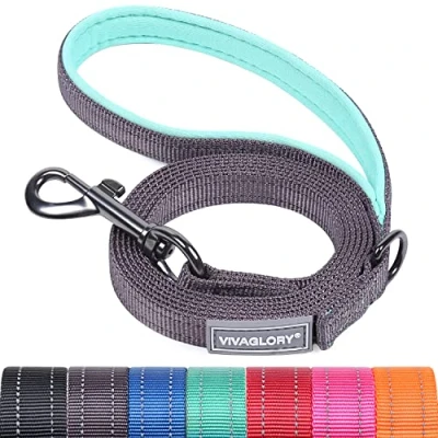 Afbeelding van VIVAGLORY Hondenriem, Trainingsriem met Comfortabele Neopreen Gewatteerde Handgreep, Stevige Looplijn voor Kleine en Middelgrote Honden