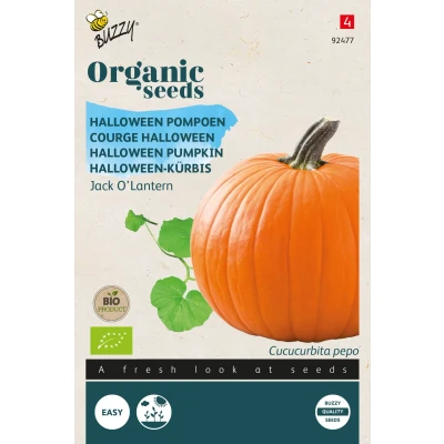 Afbeelding van Pompoen Jack O&#039;Lantern Buzzy Organic (BIO) Halloweenpompoen, Cucurbita, Pompoenzaden, Eetbaar
