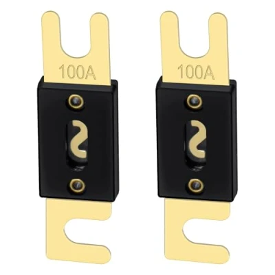 Afbeelding van Heschen ANL zekering, 100 A, voor autoaudiosystemen, goudkleurig en zwart, verpakking van 2 stuks,