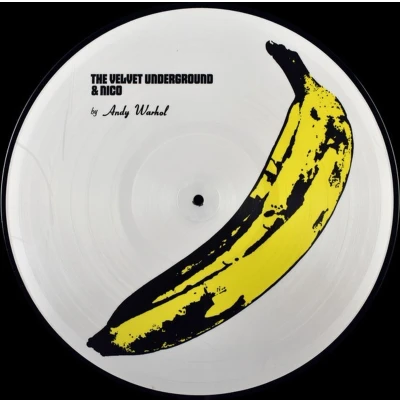 Afbeelding van The Velvet Underground &amp; Nico (LP) (Picture Disc)