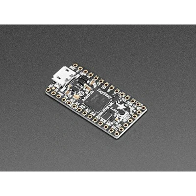 Afbeelding van Adafruit ItsyBitsy M4 Express