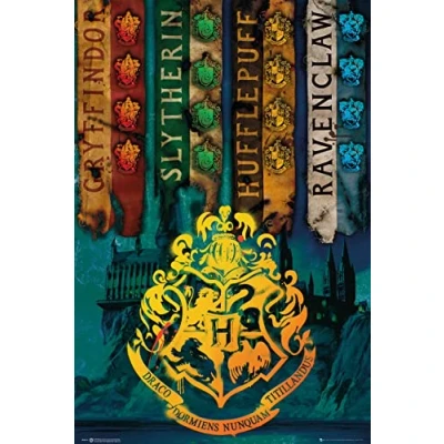 Afbeelding van [Merchandise] Hole in the Wall Harry Potter Maxi Poster
