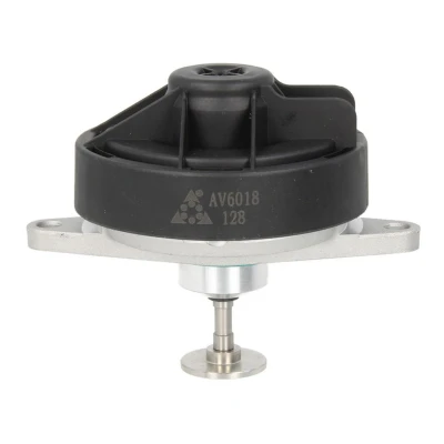 Afbeelding van Autlog EGR klep AV6018