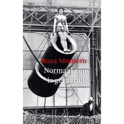Afbeelding van Normaal zijn is gevaarlijk (Paperback)