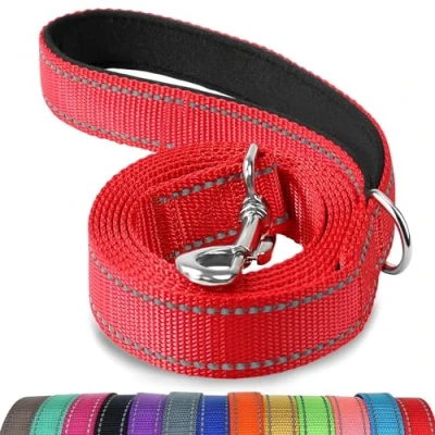 Afbeelding van Joytale Hondenriem met gevoerd handvat, dubbelzijdige reflecterende nylon hondenlijnen voor training, wandelriem kleine, middelgrote honden, 1,8 m x 2 cm, rood