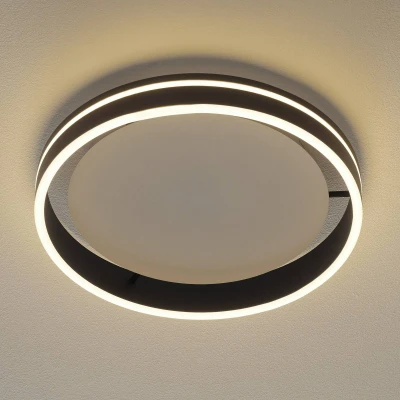 Afbeelding van Paul Neuhaus Design plafondlamp Q Vito Ø 40cm antraciet 8414 13