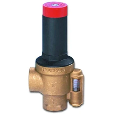 Afbeelding van Honeywell Home drukverschil overstortregelaar, met indicator, 11/4&quot;