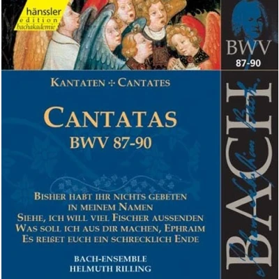 Afbeelding van Bach Ensemble, Helmuth Rilling J.S. Bach: Cantatas Bwv 87 90 (CD)