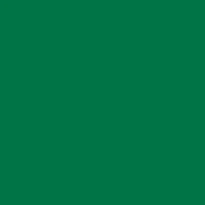 Afbeelding van plottiX Perm. Vinylfolie 31,5 cm x 1 m Groen