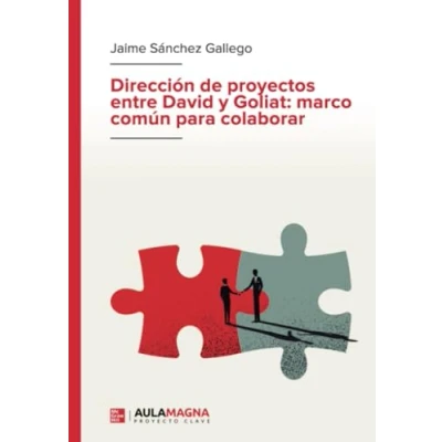 Afbeelding van Dirección de proyectos entre David y Goliat: marco común para colaborar