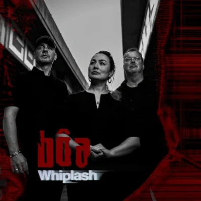 Afbeelding van Whiplash