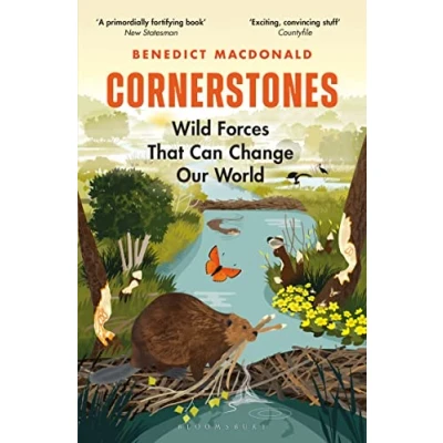 Afbeelding van Cornerstones: Wild Forces That Can Change Our World