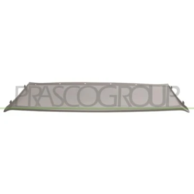 Afbeelding van Sier / beschermingspaneel, bumper PRASCO FD8041812