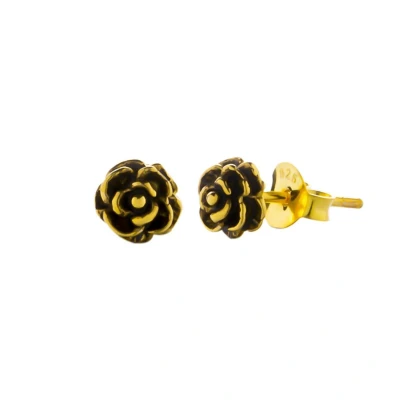 Afbeelding van Zilveren oorbellen Oorstekers Gold plated oorstekers, roosjes