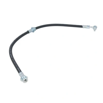 Afbeelding van Remslang DELPHI LH6852