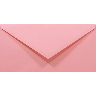 Afbeelding van Netuno 100 stuks roze lange enveloppen 110x220mm Rainbow 80g puntklep zonder venster voor huwelijk kerstmis wenskaarten uitnodigingen