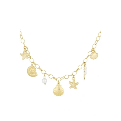 Afbeelding van Bedel ketting Schelpen zeester goudkleur