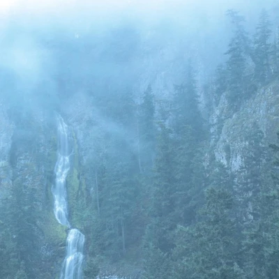 Afbeelding van Wolves In The Throne Room Diadem Of 12 Stars (CD)