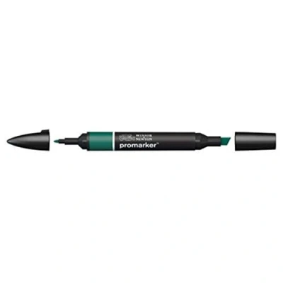 Afbeelding van Winsor and Newton Promarker Holly G724