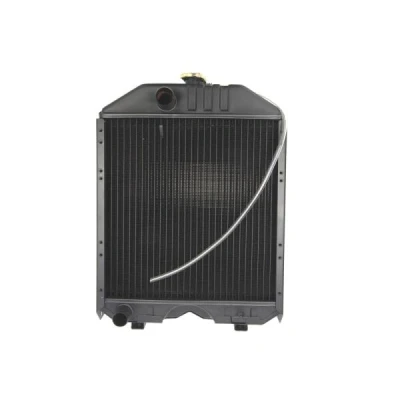 Afbeelding van Thermotec Radiateur D7AG105TT