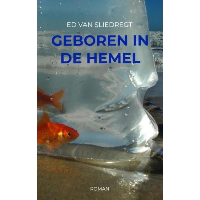 Afbeelding van Geboren in de hemel