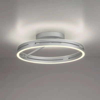 Afbeelding van Paul Neuhaus Ronde plafondlamp Pure Loop aluminium 6552 95
