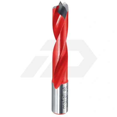 Afbeelding van Mafell Deuvelboor 10mm Voor DDP40 &amp; DD40 (1 Stuks)