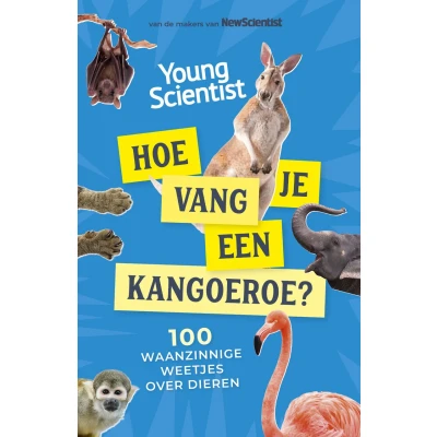 Afbeelding van Hoe vang je een kangoeroe? (Paperback)