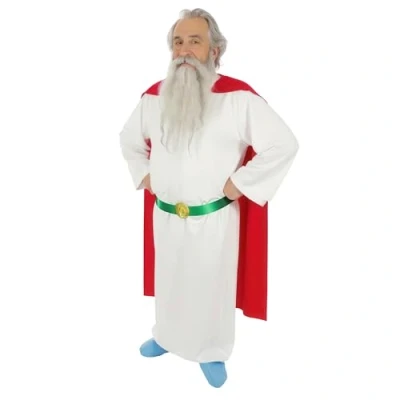 Afbeelding van CHAKS Asterix en Obelix Panoramix kostuum voor volwassenen Medium