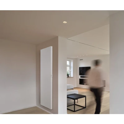 Afbeelding van Vasco E panel V FL verticale elektr. radiator 1500W met vlakke