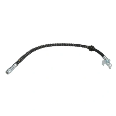 Afbeelding van Delphi Diesel Remslang LH0490