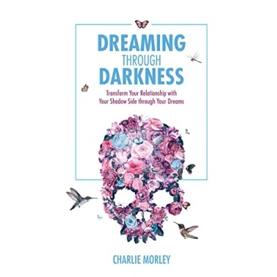 Afbeelding van Dreaming Through Darkness: Shine Light into the Shadow to Live Life of Your Dreams