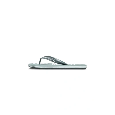 Afbeelding van Quiksilver Molokai Screen Teensandalen, Heren, Maat: 43, Ltg Kunststof