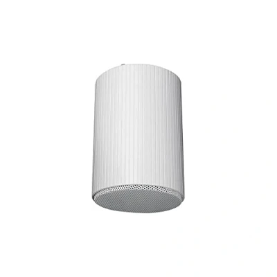 Afbeelding van DAP HS 510M 10W 5&quot; Hanging Speaker