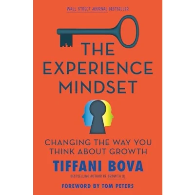 Afbeelding van the Experience Mindset: Changing Way You Think About Growth