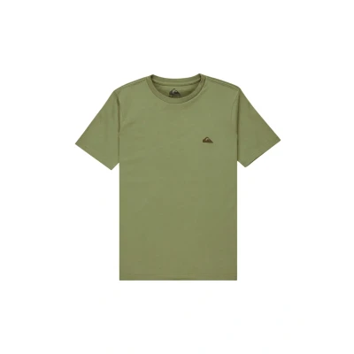 Afbeelding van Quiksilver T shirt met korte mouwen Basic SS voor jongens, 8 16 jaar, blauw,