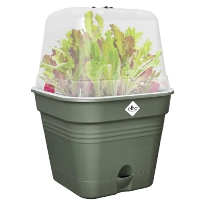 Afbeelding van Green basics kweekpot vierk. allin1 15cm blad groen elho