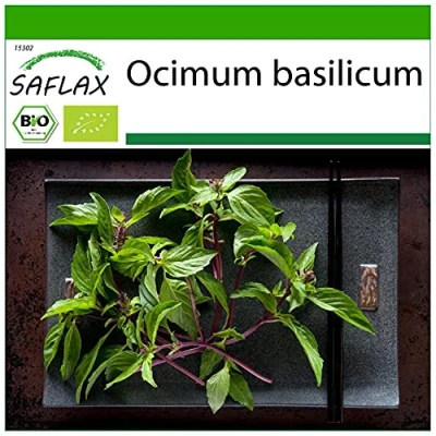 Afbeelding van SAFLAX Bio Thaise basilicum 250 Zaden Met potgrond voor een betere teelt Ocimum
