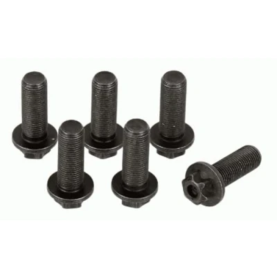 Afbeelding van Schroevenset, vliegwiel SACHS 1874 000 045