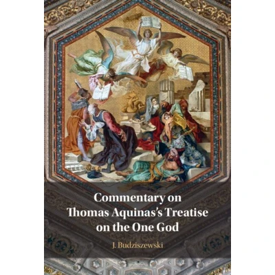 Afbeelding van Commentary on Thomas Aquinas&#039;s Treatise the One God
