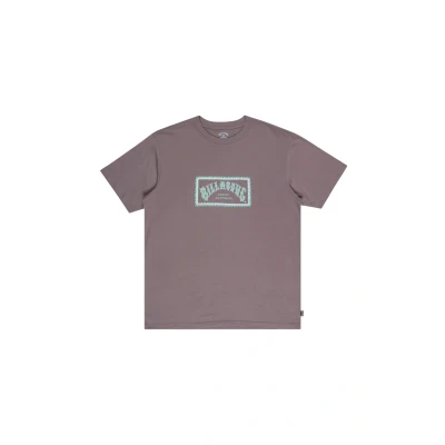 Afbeelding van Billabong T shirt met korte mouwen Arch Frame SS grijs XL