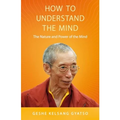 Afbeelding van How to Understand the Mind: Nature and Power of Mind