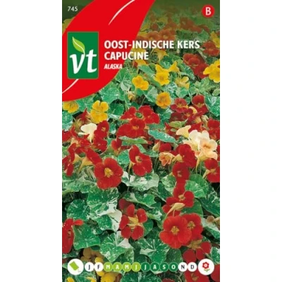Afbeelding van Oost Indische Kers &#039;Alaska&#039; Zaden Witte Bloemen met Groenbonte Bladeren voor Tuinen en Bloembedden